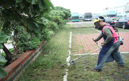 環境整理班:割草 
